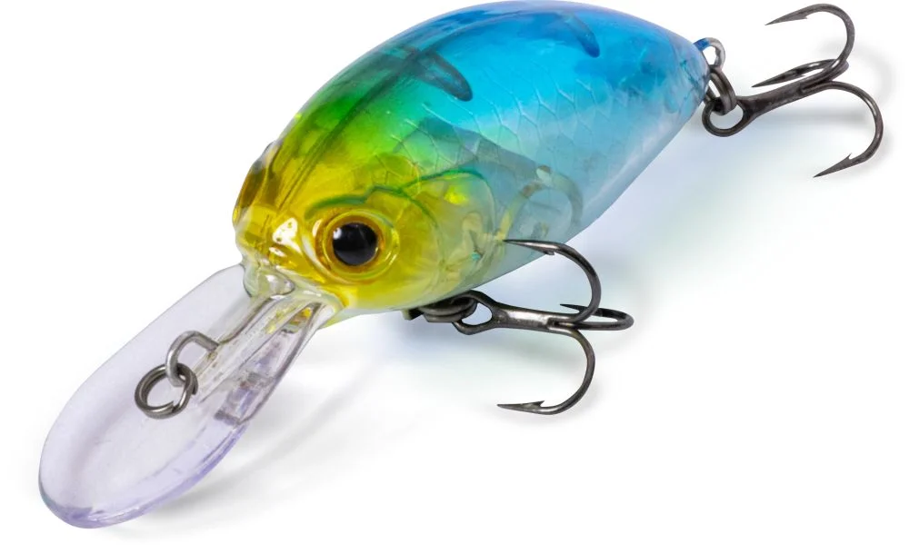 reniersfishing202606031920382405351
