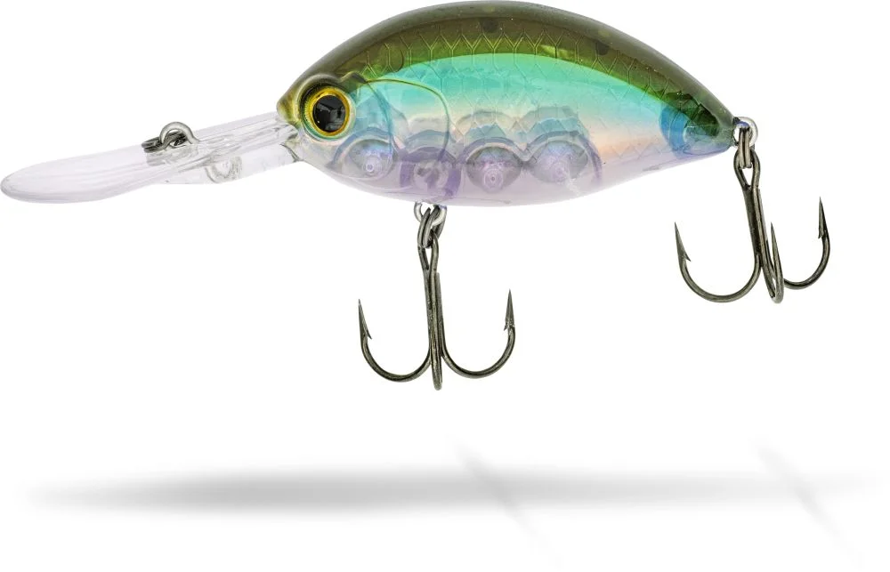 reniersfishing202606031920392405363