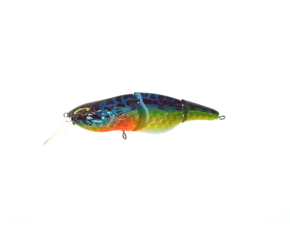 reniersfishing202606031933372417871