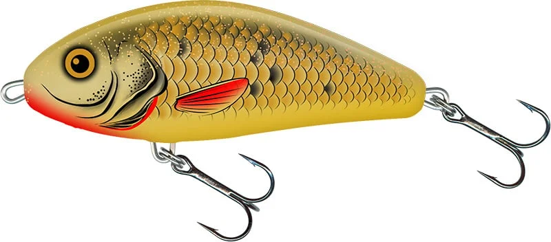 reniersfishing202606031935052419266