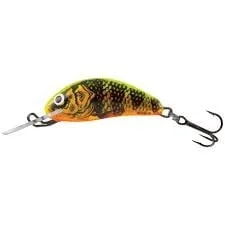 reniersfishing202606031935092419320