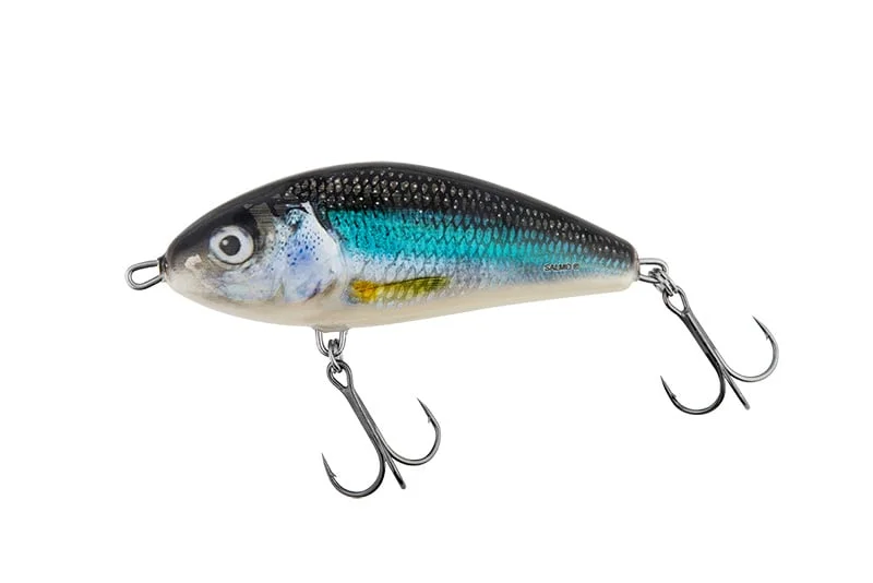 reniersfishing202606031935092419322