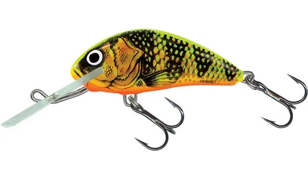 reniersfishing202606031935102419340