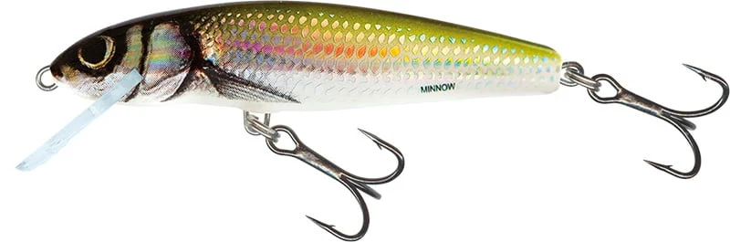 reniersfishing202606031935132419376