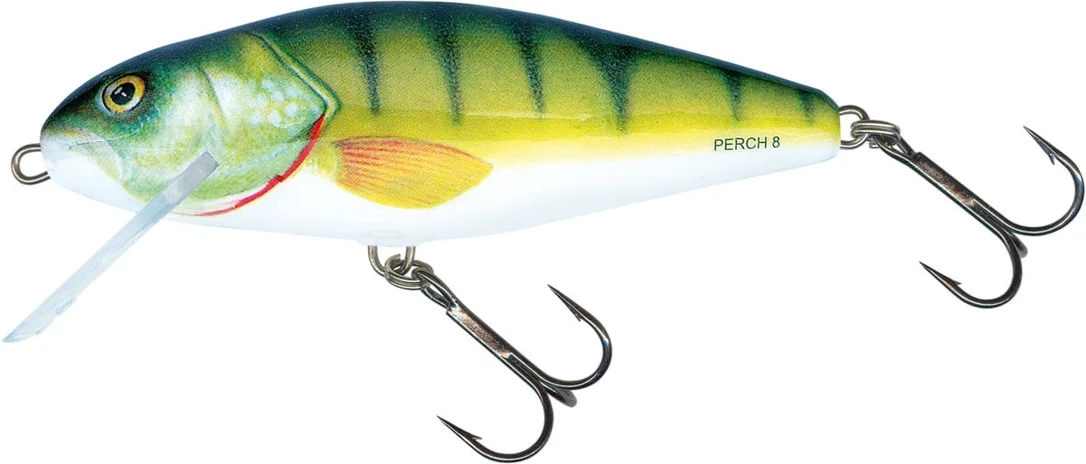 reniersfishing202606031935142419405