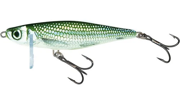 reniersfishing202606031935392419793