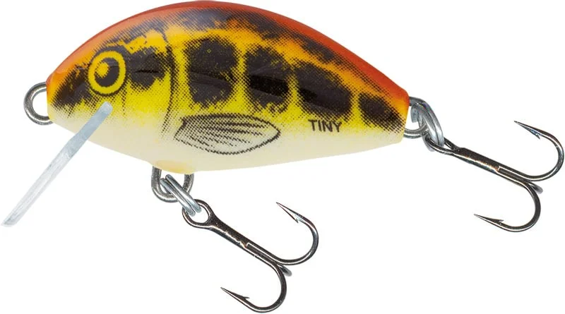 reniersfishing202606031935412419812