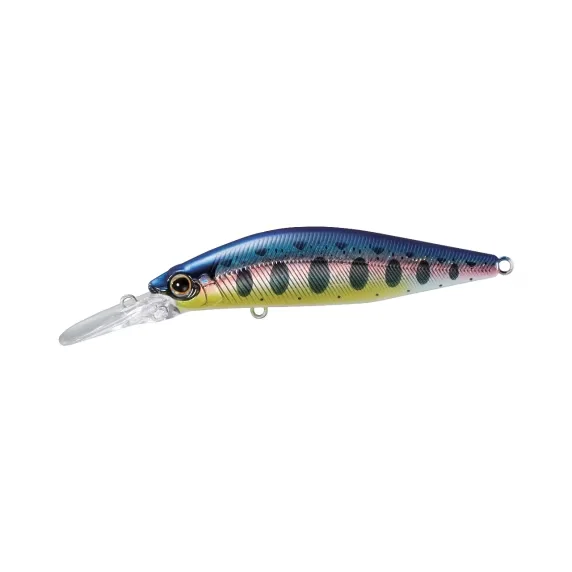 reniersfishing202606031938382422628