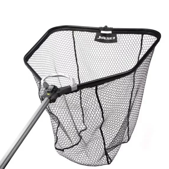 reniersfishing202606031940582424864