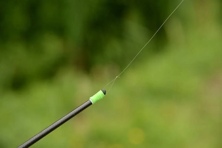 reniersfishing202606031941262425302