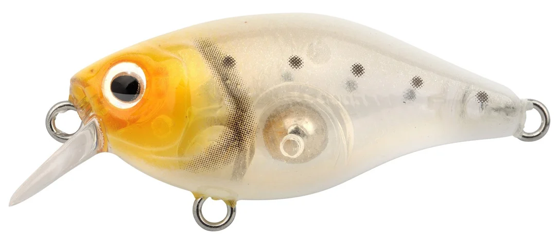 reniersfishing202606031946112429629