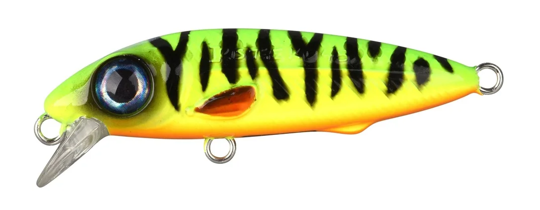reniersfishing202606031946342429953