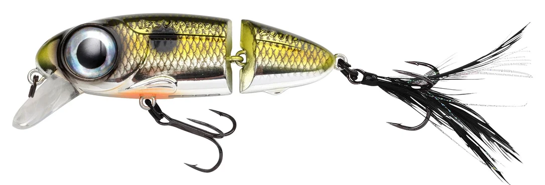 reniersfishing202606031946392430045