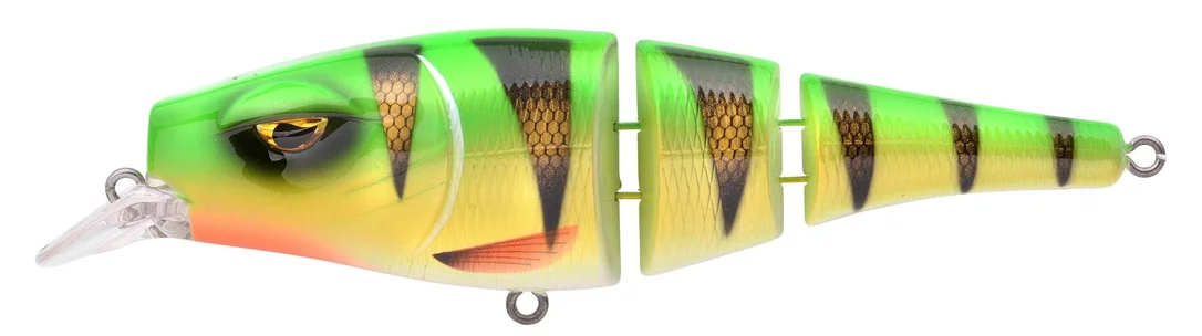 reniersfishing202606031947252430703