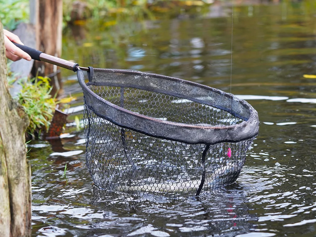 reniersfishing202606031951512434633
