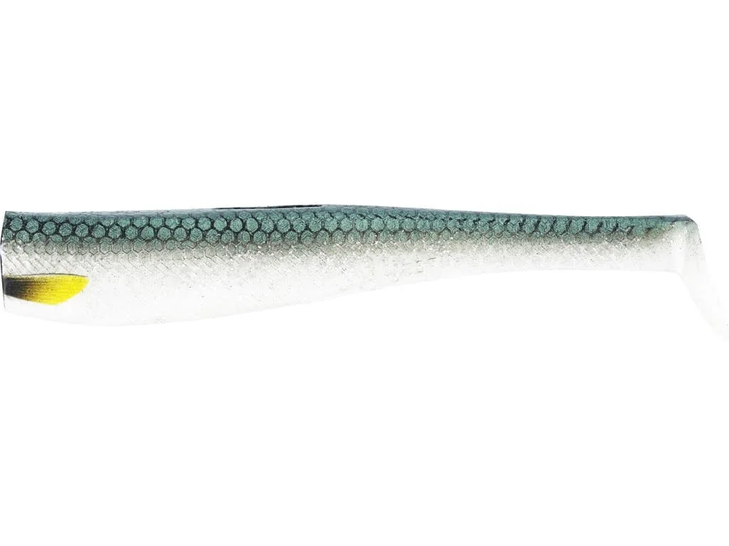 reniersfishing202606031957232439400