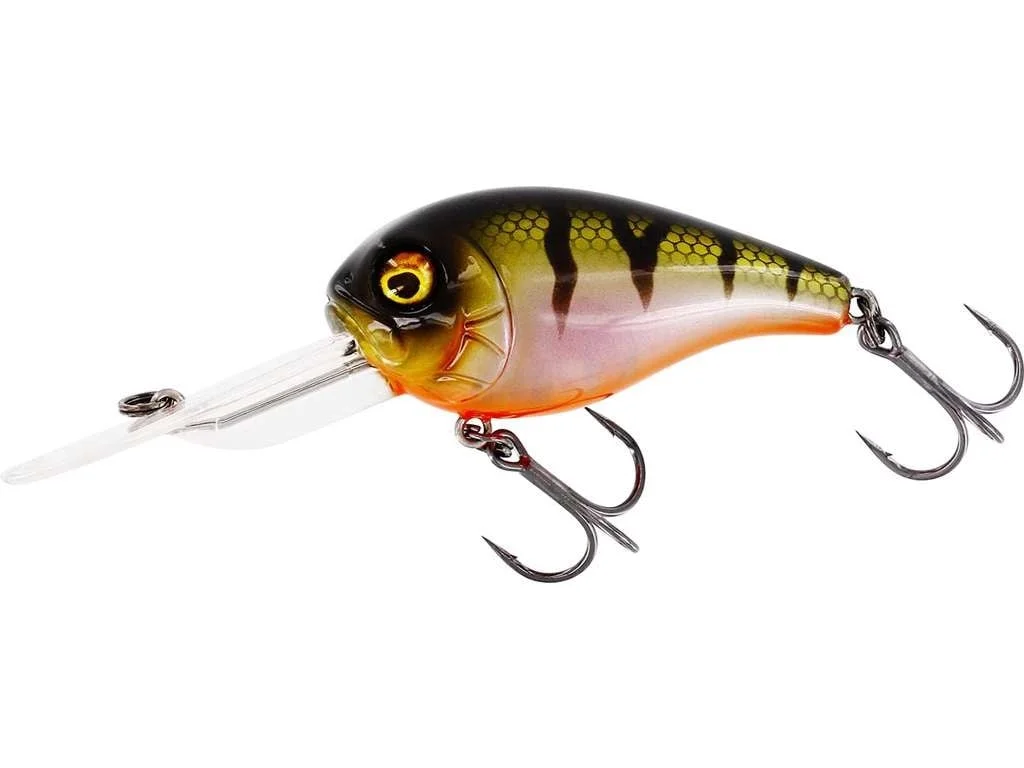 reniersfishing202606031957262439449