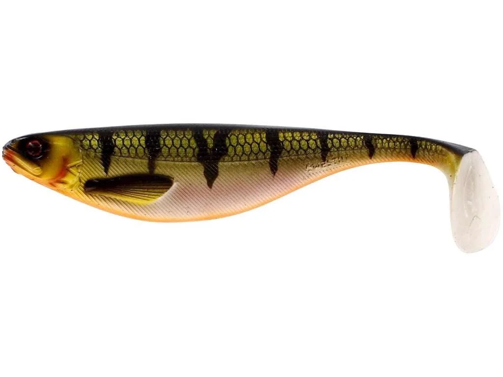 reniersfishing202606031957482439747