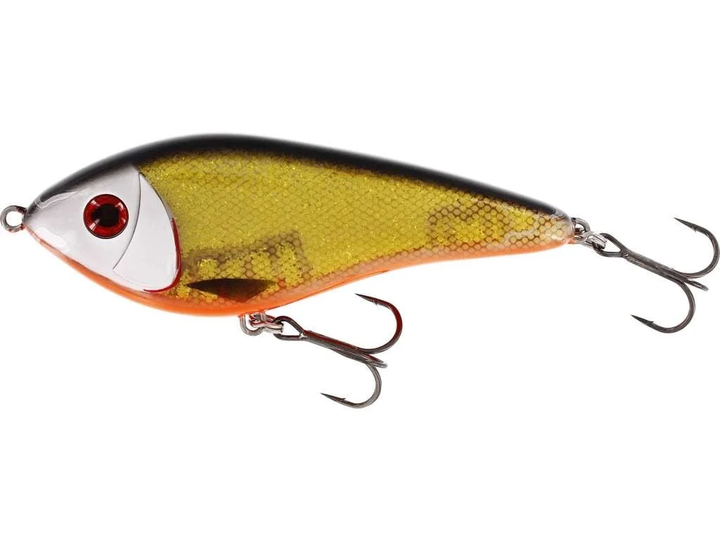 reniersfishing202606031958112440033