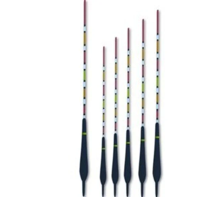 rispenshengelsport202606031811502339723