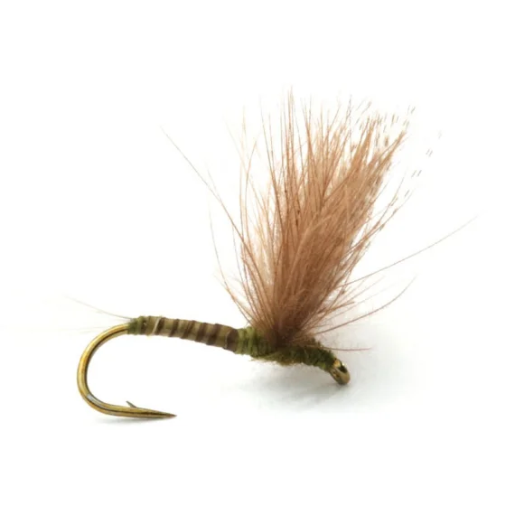 sportfishtackle202606031932112416511