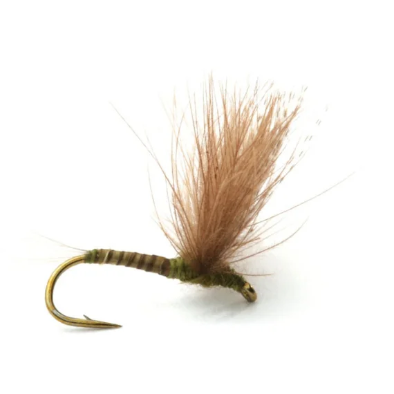 sportfishtackle202606031932152416570