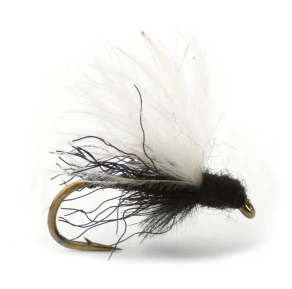 sportfishtackle202606031932432417019
