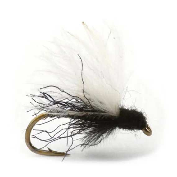 sportfishtackle202606031932442417033