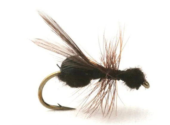 sportfishtackle202606031932522417159