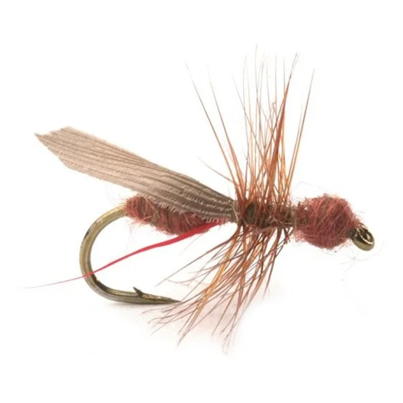 sportfishtackle202606031932552417202