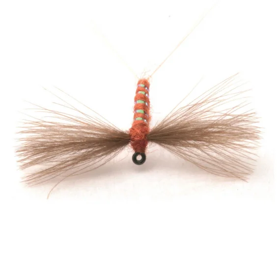 sportfishtackle202606031933572418195
