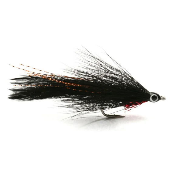 sportfishtackle202606031935032419243