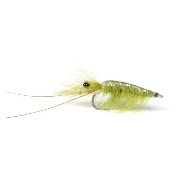 sportfishtackle202606031935292419619