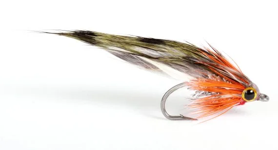 sportfishtackle202606031935372419752