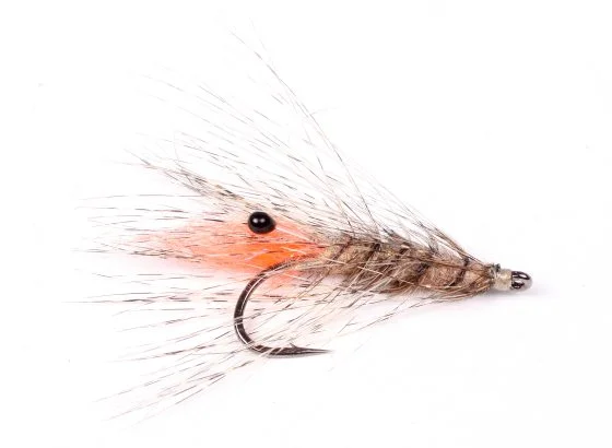 sportfishtackle202606031935552420033