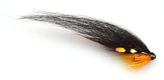 sportfishtackle202606031936052420198