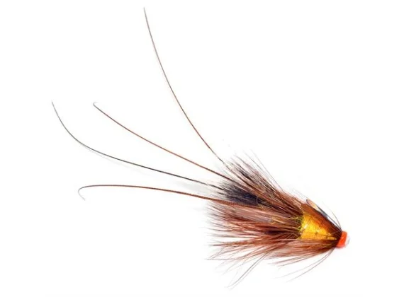 sportfishtackle202606031943232427122