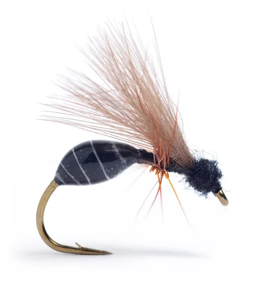 sportfishtackle202606031944172427932