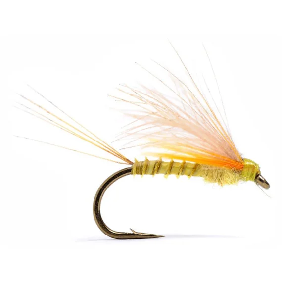 sportfishtackle202606031944222428008