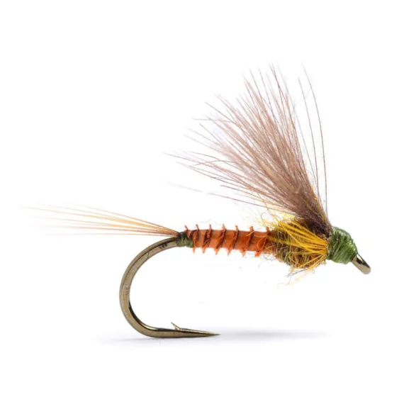 sportfishtackle202606031944292428111