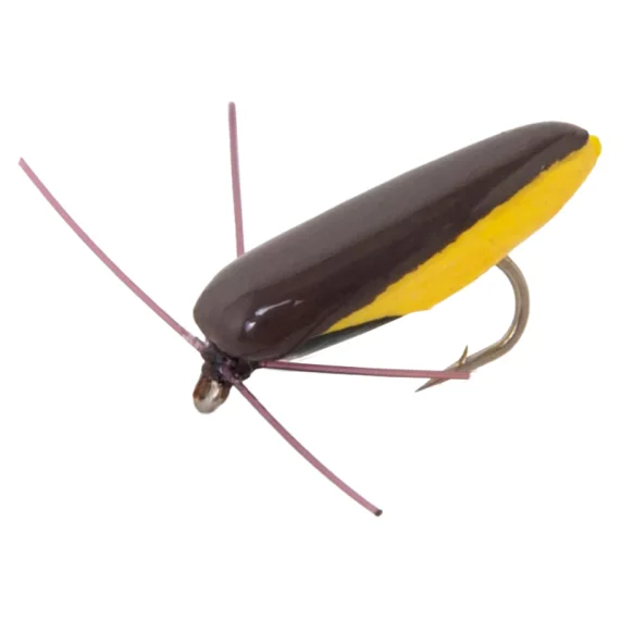 sportfishtackle202606031947182430613