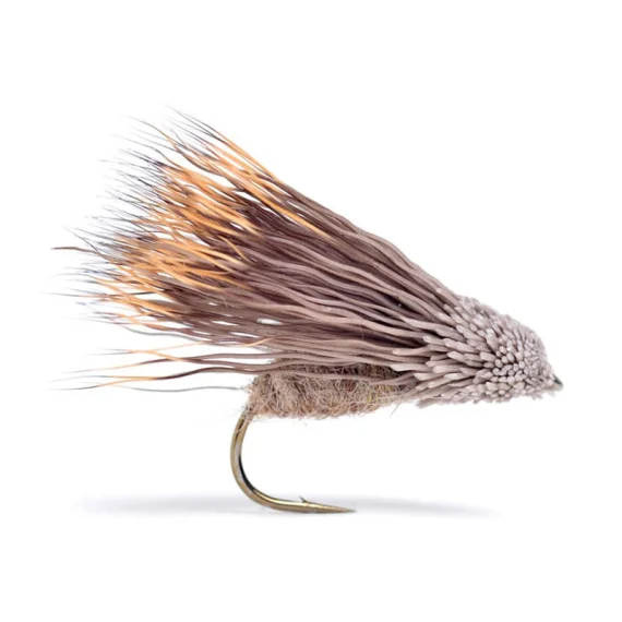 sportfishtackle202606031949362432654