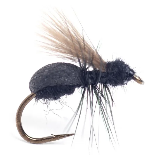 sportfishtackle202606031952512435487