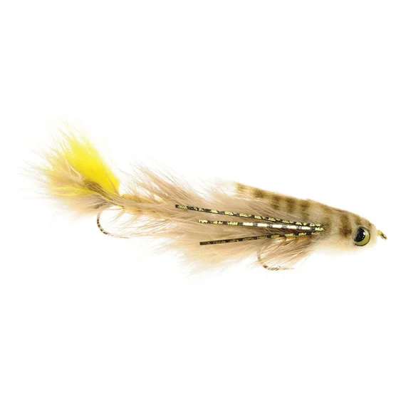 sportfishtackle202606031953412436229