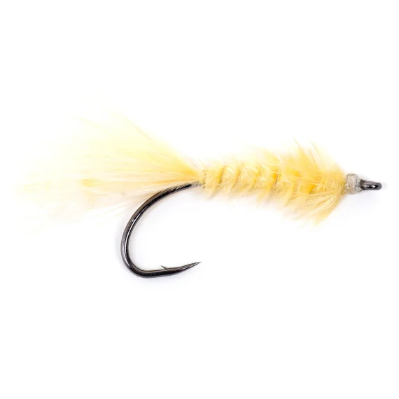 sportfishtackle202606031956402438801
