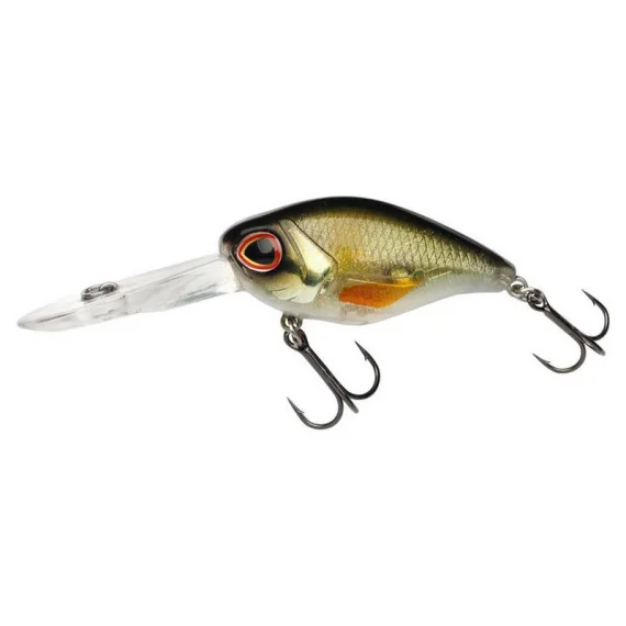 sportfishtackle202606032102172486834
