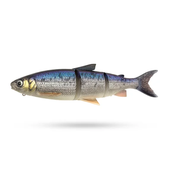 sportfishtackle202606032110222492269