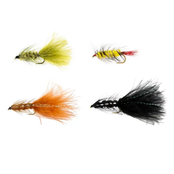 sportfishtackle202606032128562503111