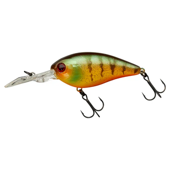 sportfishtackle202606032156242515523