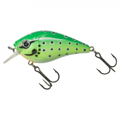 sportfishtackle202606032159252516873